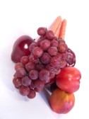 Chinchilla food suppliers in Bournemouth